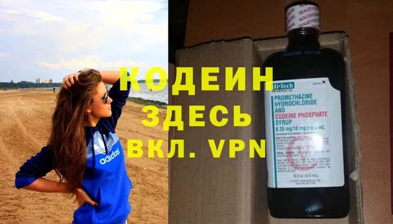 где продают наркотики  Камышлов  Кодеиновый сироп Lean Purple Drank 